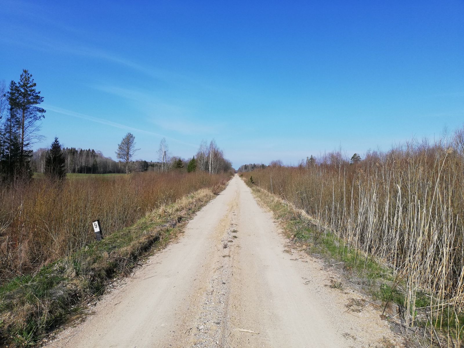 Jauns pārgājiena maršruts "Līčupe - Ogresmuiža"