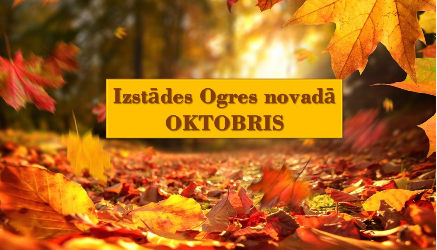 Izstādes Ogres novadā oktobrī